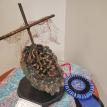 "Tempest" (Bronze)